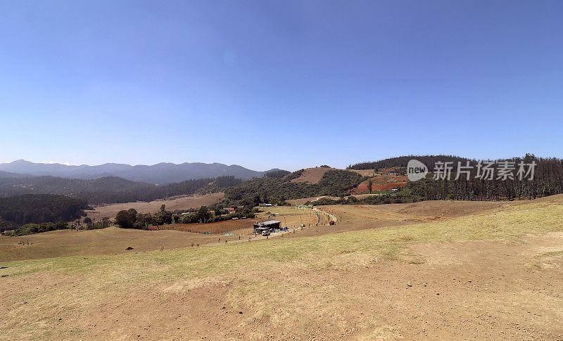 在晴朗的天空下，春天的Pagalkod Mund, Ooty，泰米尔纳德邦景观的美丽风景